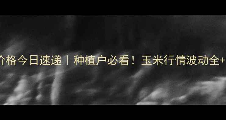 图片 🌾抚宁玉米价格今日速递｜种植户必看！玉米行情波动全+种植攻略🌾1