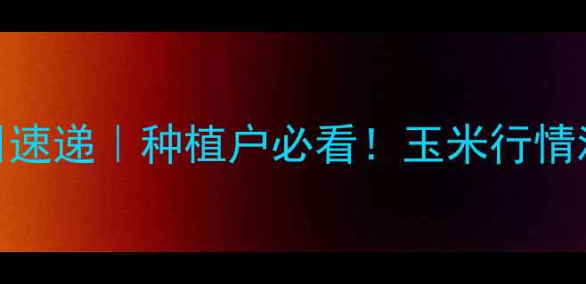 图片 🌾抚宁玉米价格今日速递｜种植户必看！玉米行情波动全+种植攻略🌾2