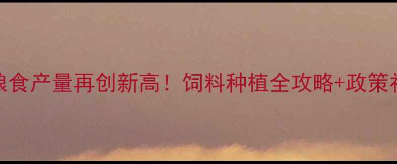 图片 🌾新疆粮食产量再创新高！饲料种植全攻略+政策补贴解读