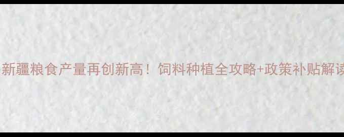 图片 🌾新疆粮食产量再创新高！饲料种植全攻略+政策补贴解读2