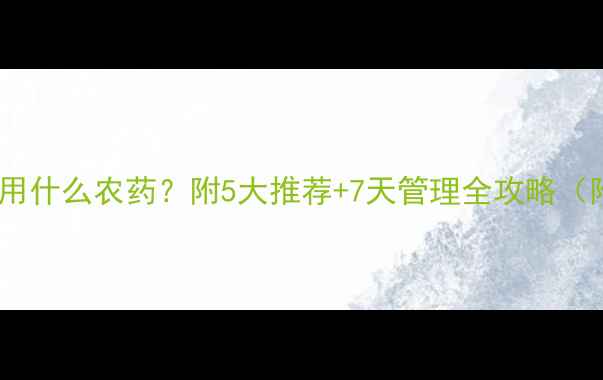 图片 🌾晚稻移栽后用什么农药？附5大推荐+7天管理全攻略（附用药清单）2