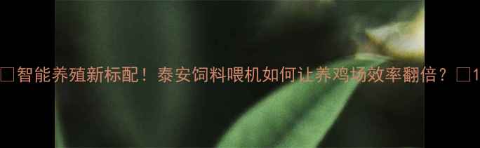 图片 🌾智能养殖新标配！泰安饲料喂机如何让养鸡场效率翻倍？🐄1