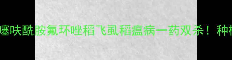 图片 🌾最新价格+防治指南噻呋酰胺氟环唑稻飞虱稻瘟病一药双杀！种植户必看使用全攻略🔥