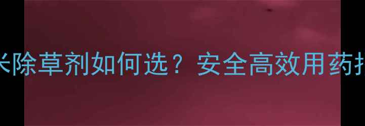 图片 🌾最新推荐麦田玉米除草剂如何选？安全高效用药指南（附详细清单）