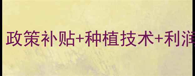 图片 🌾最新政策大成农药代理全攻略｜政策补贴+种植技术+利润分析｜手把手教你掘金农业市场1
