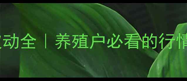 图片 🌾最新猪价波动全｜养殖户必看的行情避坑指南🐷2