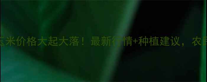 图片 🌾朔州玉米价格大起大落！最新行情+种植建议，农民必看🌾