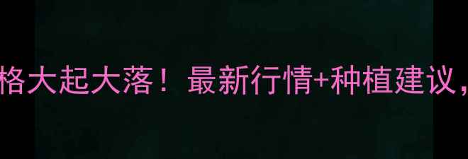 图片 🌾朔州玉米价格大起大落！最新行情+种植建议，农民必看🌾1