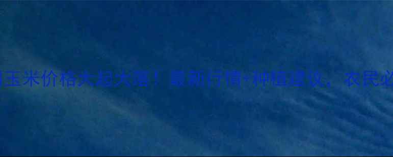 图片 🌾朔州玉米价格大起大落！最新行情+种植建议，农民必看🌾2