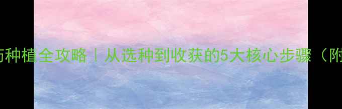 图片 🌾水稻无农药种植全攻略｜从选种到收获的5大核心步骤（附真实案例）2
