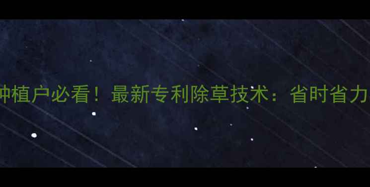 图片 🌾水稻种植户必看！最新专利除草技术：省时省力零伤害1