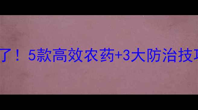 图片 🌾水稻蓟马克星找到了！5款高效农药+3大防治技巧，助你稳产增收💰2