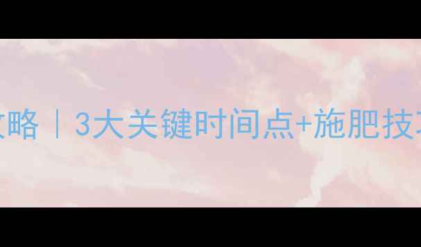 图片 🌾水稻除草剂后施肥全攻略｜3大关键时间点+施肥技巧，这样操作效果翻倍！