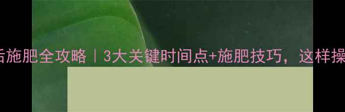 图片 🌾水稻除草剂后施肥全攻略｜3大关键时间点+施肥技巧，这样操作效果翻倍！2
