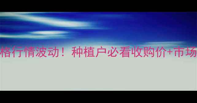 图片 🌾河南封丘玉米价格行情波动！种植户必看收购价+市场分析+防风险指南2