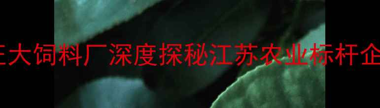 图片 🌾淮安正大饲料厂深度探秘江苏农业标杆企业全🌾1