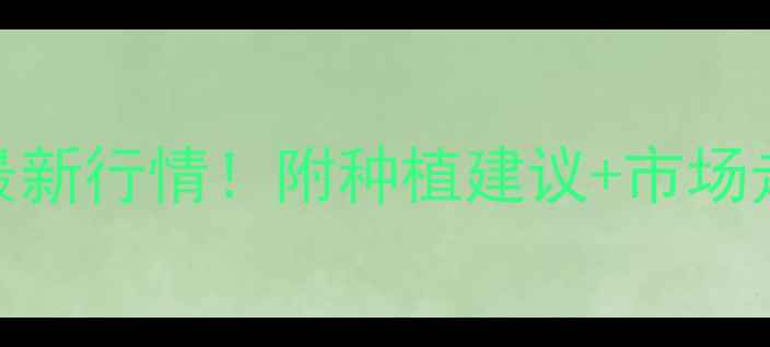 图片 🌾湖北小麦价格最新行情！附种植建议+市场走势分析（8月）1