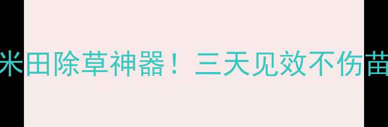 图片 🌾滨农玉无忧苗后除草剂玉米田除草神器！三天见效不伤苗，省时省力亩均省200元！1