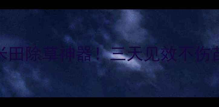 图片 🌾滨农玉无忧苗后除草剂玉米田除草神器！三天见效不伤苗，省时省力亩均省200元！2