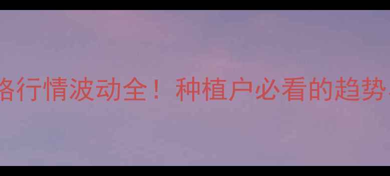 图片 🌾玉玉米价格行情波动全！种植户必看的趋势与应对策略2