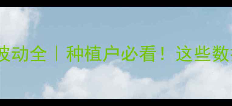图片 🌾玉米8月价格波动全｜种植户必看！这些数据影响全年收益