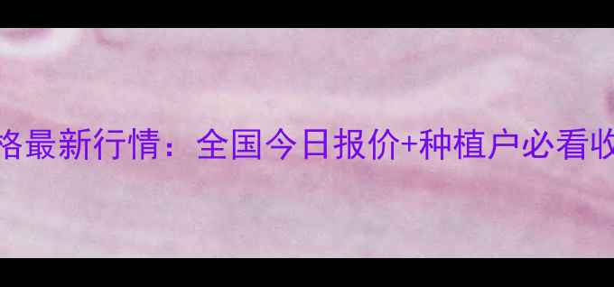 图片 🌾玉米价格最新行情：全国今日报价+种植户必看收购攻略🌾