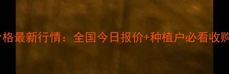 图片 🌾玉米价格最新行情：全国今日报价+种植户必看收购攻略🌾2