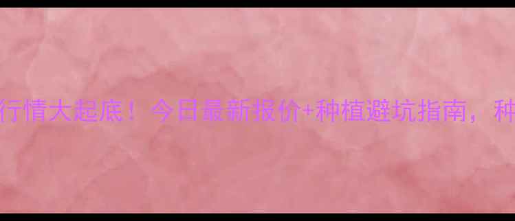 图片 🌾玉米价格行情大起底！今日最新报价+种植避坑指南，种粮人必看！