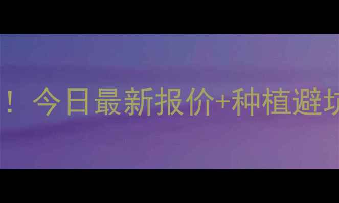 图片 🌾玉米价格行情大起底！今日最新报价+种植避坑指南，种粮人必看！1