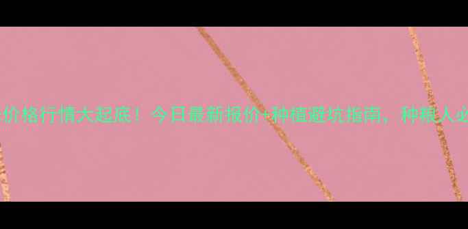 图片 🌾玉米价格行情大起底！今日最新报价+种植避坑指南，种粮人必看！2