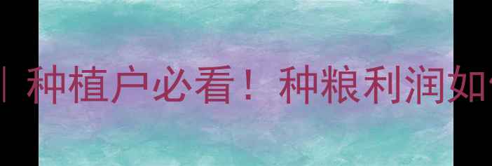 图片 🌾玉米价格走势分析预测｜种植户必看！种粮利润如何规划？附最新市场数据1