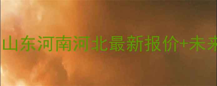 图片 🌾玉米北方市场价格走势全！山东河南河北最新报价+未来趋势预测（附种植建议）🌾2