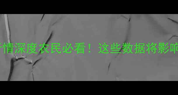 图片 🌾玉米拍卖价格行情深度农民必看！这些数据将影响你的秋收决策！2