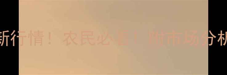 图片 🌾玉米收购价格最新行情！农民必看！附市场分析+补贴政策解读🌾2