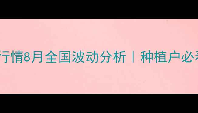 图片 🌾玉米碎价格行情8月全国波动分析｜种植户必看采购指南🌾1