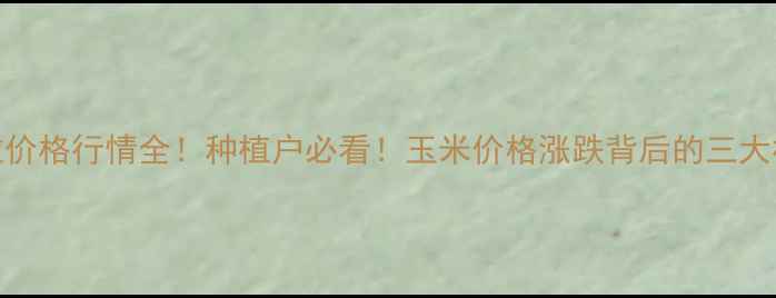 图片 🌾玉米粒价格行情全！种植户必看！玉米价格涨跌背后的三大核心逻辑