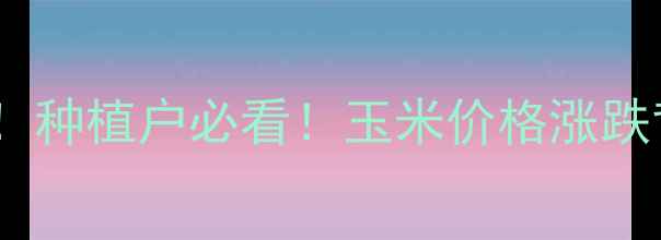 图片 🌾玉米粒价格行情全！种植户必看！玉米价格涨跌背后的三大核心逻辑1