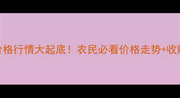 图片 🌾玉米纤维价格行情大起底！农民必看价格走势+收购技巧全攻略