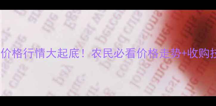图片 🌾玉米纤维价格行情大起底！农民必看价格走势+收购技巧全攻略2