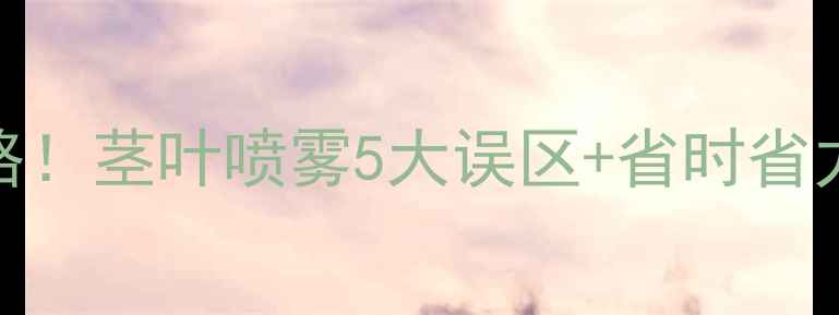 图片 🌾玉米除草剂使用全攻略！茎叶喷雾5大误区+省时省力技巧，种粮人必看！🌾