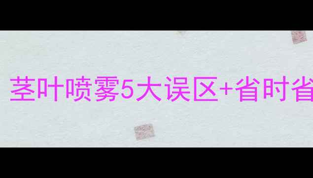 图片 🌾玉米除草剂使用全攻略！茎叶喷雾5大误区+省时省力技巧，种粮人必看！🌾1