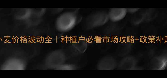 图片 🌾甘肃小麦价格波动全｜种植户必看市场攻略+政策补贴指南🌾