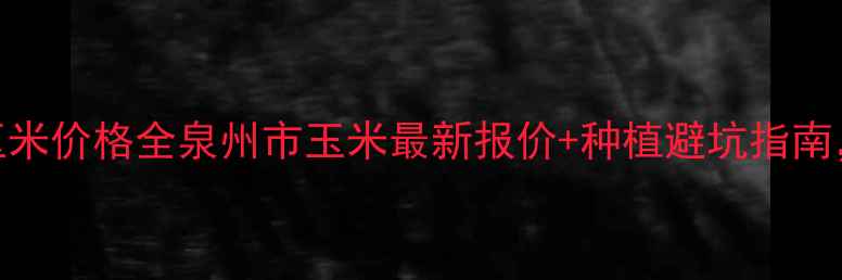 图片 🌾福建泉州玉米价格全泉州市玉米最新报价+种植避坑指南，农民必看！