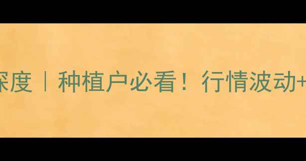 图片 🌾福建玉米价格深度｜种植户必看！行情波动+种植技巧全攻略1