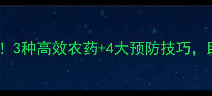 图片 🌾稻飞虱大作战！3种高效农药+4大预防技巧，助你稳赚一季！1