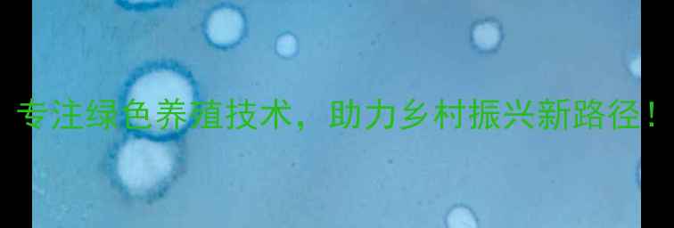 图片 🌾莒南君诺饲料：专注绿色养殖技术，助力乡村振兴新路径！养殖户必看！🌾2