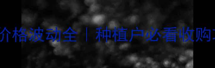 图片 🌾莘县玉米穗价格波动全｜种植户必看收购攻略+行情预测