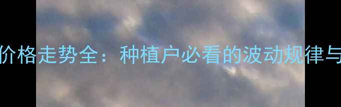 图片 🌾菜籽油价格走势全：种植户必看的波动规律与应对策略