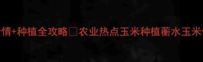 图片 🌾蘅水玉米价格行情+种植全攻略🌾农业热点玉米种植蘅水玉米价格波动农民增收