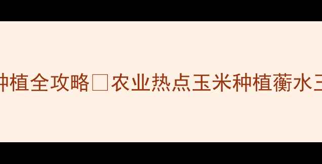 图片 🌾蘅水玉米价格行情+种植全攻略🌾农业热点玉米种植蘅水玉米价格波动农民增收2